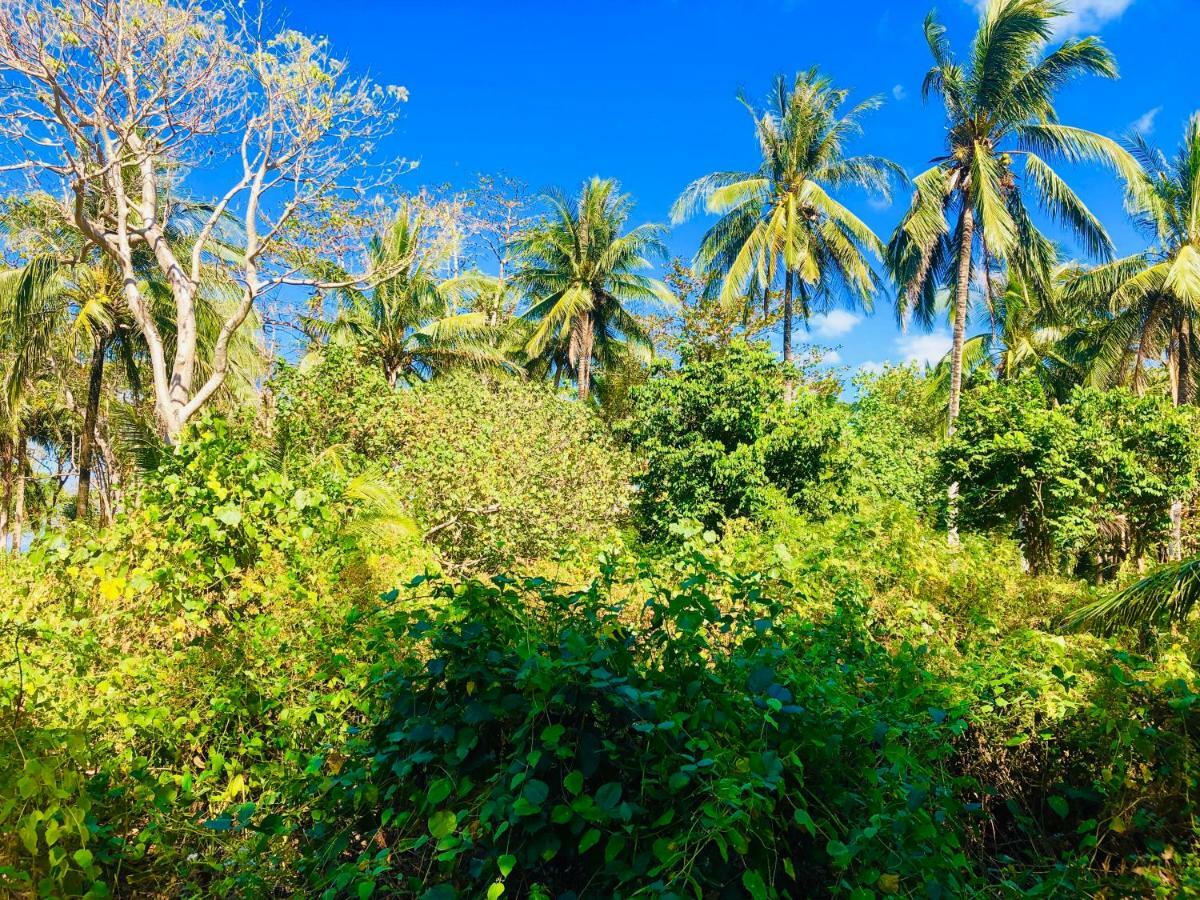 Reggae Island Private Island 호텔 코 파얌 외부 사진